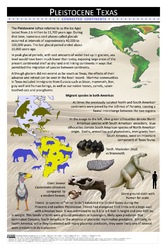 Pleistocene Texas