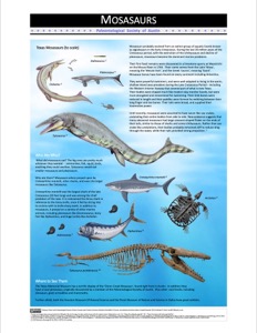 Poster Mosasaur