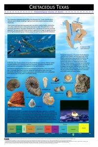 Texas Cretaceous